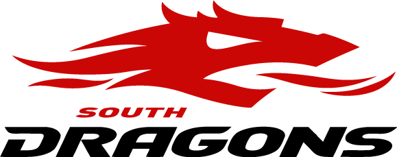 South Dragons 2006-2009 Primary Logo iron on transfers for T-shirts